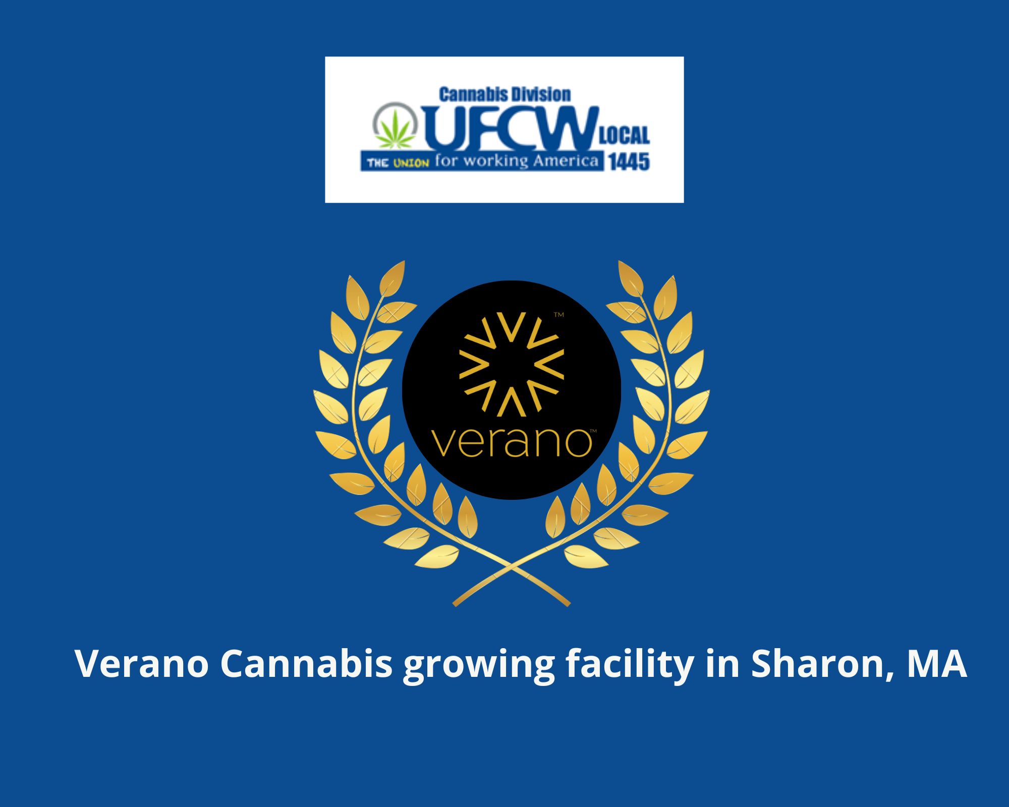 May be an image of text that says 'Cannabis Division UFCW LOCAL THE UNION or working America 1445 Victory! Verano Cannabis Cultivation Workers join CEA Local 1445 1445 verano'
